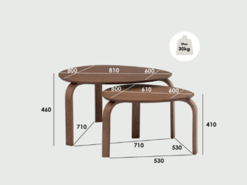 Ensemble de 2 Tables Basses SANDRA 109 - 132053