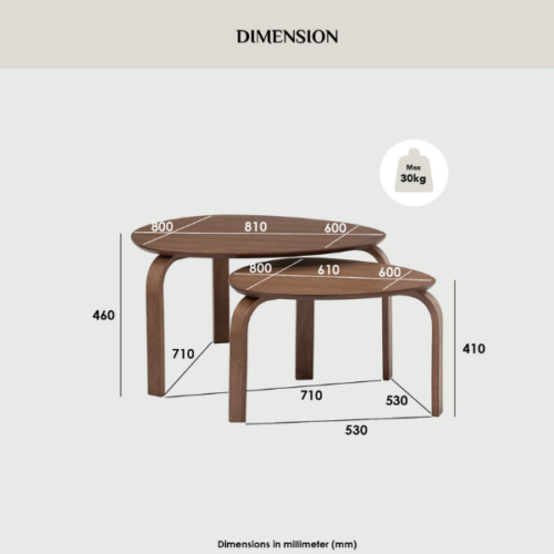 Ensemble de 2 Tables Basses SANDRA 109 - 132053