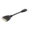 Adaptateur DisplayPort vers DVI-D BizLink BZL-KS10009